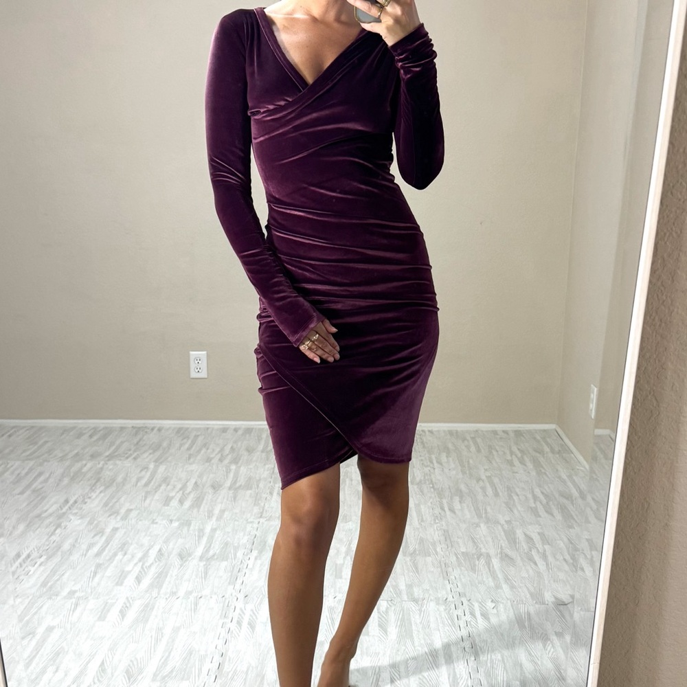 Aritzia Wilfred Velour Long Sleeve Dress